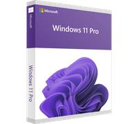 Windows 11 Pro Download