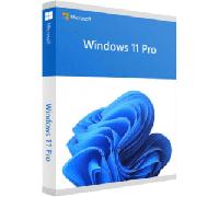 Windows 11 Professional Multi Dispositivo - Attivazione Online - 10 dispositivi