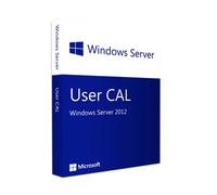 WINDOWS SERVER 2012 10 USER CALS