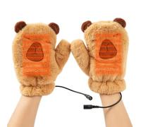 Windproof Hand Warmer Gloves Heated Plush Thermal Wear Pair