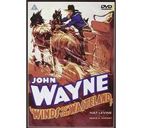 Winds Of The Wasteland [Edizione: Regno Unito]