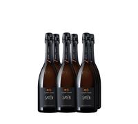 Wine Box Franciacorta Saten Castaldi (6bt)