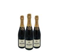 Wine Box Franciacorta Saten Mosnel (3bt)
