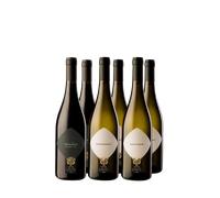 Wine Box La Vis (6bt)