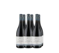 Wine Box Lacrima 'Orgiolo' Marotti Campi (6bt)