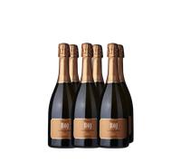 Wine Box Prosecco 'Boj' Valdo (6bt)