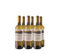 Wine Box 'Tra Donne Sole' Vite Colte (6bt)