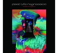 Wingard, Adam - Past Life Regression