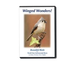 Winged Wonders! Beautiful Birds and World Class Instrumental Music