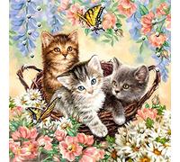 Wingkin Kit punto croce per adulti Tre simpatici gatti con fiori fai da te punto croce stampa complementi arredo casa ricamo artistico ricamo (11CT tela prestampata) 40x50cm