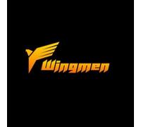 WingMen (PC) Steam Key - GLOBAL