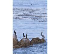 Wings on the Tide: Lightweight Ocean-inspired 100-page hybrid/dual journal - ruled, dotted, and indexed for writing, planning, or sketching