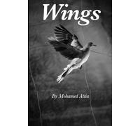 Wings photo zine - black and white fine art birds photography moments