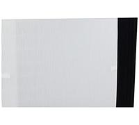 Winix Genuine 113250 - Filtro di ricambio E per P450