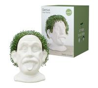 Winkee - Chia Genie I Testa come animale da piantagione Chia, busto in ceramica per coltivare semi di Chia, ciotola di coltivazione in forma divertente I Chia Seeds Starter Kit