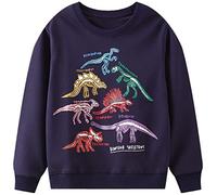 WINKEEY Felpa da Ragazzo con Kawaii Dinosauro squalo Calamari Modello Manica Lunga Pullover nottilucenti Bambini Top 2-7 Anni, Dinosauro 2-3 Anni