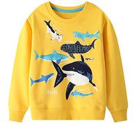 WINKEEY Felpa da Ragazzo con Kawaii Dinosauro squalo Calamari Modello Manica Lunga Pullover nottilucenti Bambini Top 2-7 Anni, squalo 4-5 Anni