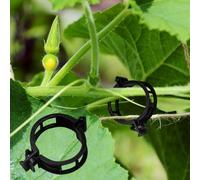 Winmany 100 clip di supporto per piante da giardino, supporti per pomodori, per collegare piante, spago, viti, tralicci, gabbie, vite e verdure, clip di fissaggio per innesto, per far crescere in