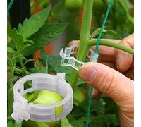 Winmany 100 Supporti per Piante da Parete in 3 Dimensioni, Fissaggio per Piante rampicanti, Gancio Autoadesivo, Supporto per Viti a trazione Invisibile, Clip per Fissaggio per Verdure (100 Pezzi)