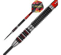 Winmau Freccette Florian Hempel Steeltip 25 G