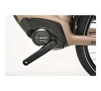 Winora Tria N8f E Nexus 2024 Electric Bike Marrone M / 500Wh Brown