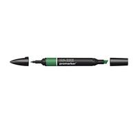 Winsor & Newton 0203244 - Pennarello a Doppia Punta , Verde (Pine), 3.5x19.5x1.4 cm