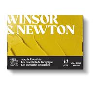 Winsor & Newton 2190615 Vernice Acrilica Galeria - Astuccio 10x12ml “Essenziali Acrilici”