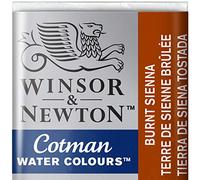 Winsor & Newton 301696 Cotman Colori Acquerello, Viridian, Siena Fired, 1.9x1.6x1.1 cm