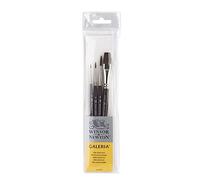 Winsor & Newton 5790600 Pennello, Legno, Trasparente, 20 x 0,6 x 0,6 cm