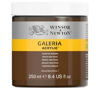Winsor & Newton Acrilico Galeria 250 ml Marrone Van Dyck