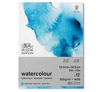 Winsor & Newton Carta per acquarello, Grana Fine, 300gr, Miscela Di Fibre di Cotone 25% e Cellulosa, Bianco Naturale, Priva di Acidi, 22,9 x 30,5cm, Blocco incollato 1 Lato, 12 Fogli