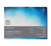Winsor & Newton Carta per acquarello Professional, Grana Satinata, 300gr, Cotone 100%, Bianco Naturale, Priva di Acidi, 22,9X30,5CM, Blocco incollato 4 Lati, 20 fogli