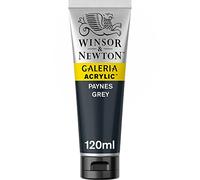 Winsor & Newton Galeria Colore Acrilico 120 Ml - Grigio Di Payne