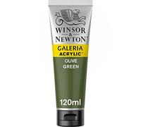 Winsor & Newton Galeria Colore Acrilico 120 ml - Verde Oliva