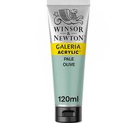 Winsor & Newton Galeria Colore Acrilico 120 ml - Verde Oliva Chiaro