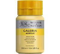 Winsor & Newton Galeria Colore Acrilico 250 ml - Giallo di Napoli
