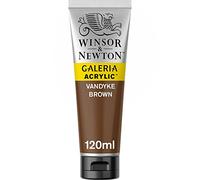Winsor & Newton Galeria Colore Acrilico - Marrone (Bruno Van Dyck) - 120 ml (Confezione da 1)