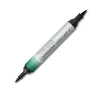 Winsor & Newton Marcatori Acquarello Professionale Hookers Green Dark