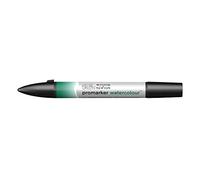 Winsor & Newton Marcatori Acquarello Professionale Hookers Green Dark