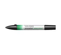 Winsor & Newton Pennarello Acquerello, Carta, Hooker's Green, Aquarellmarker