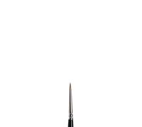 Winsor Newton Pennelli da Miniatura In Vera Kolinsky Sable Serie 7