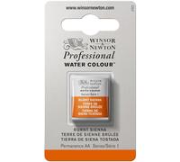 Winsor & Newton Professional - Vernici ad acquerello, vivaci e resistenti alla luce, pigmenti per artisti, 1/2 GODET, colore: Terra Di Siena Bruciata