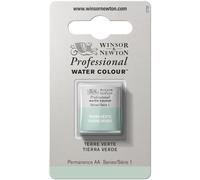 Winsor & Newton Professional - Vernici ad acquerello, vivaci e resistenti alla luce, pigmenti per artisti, 1/2 GODET, colore: Terra Verde