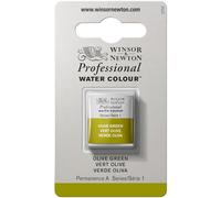 Winsor & Newton Professional - Vernici ad acquerello, vivaci e resistenti alla luce, pigmenti per artisti, 1/2 GODET, colore: Verde Oliva