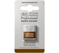 Winsor & Newton Professional - Vernici ad acquerello, vivaci e resistenti alla luce, pigmenti per artisti, 1/2 GODET, colore: Bruno Van Dyck