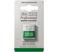 Winsor & Newton Professional - Vernici ad acquerello, vivaci e resistenti alla luce, pigmenti per artisti, 1/2 GODET, colore: Verde Di Hooker