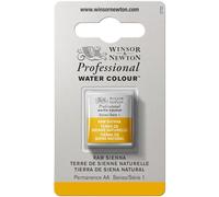 Winsor & Newton Professional - Vernici ad acquerello, vivaci e resistenti alla luce, pigmenti per artisti, 1/2 GODET, colore: Terra Di Siena Naturale