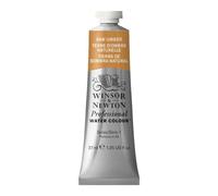Winsor & Newton Professional - Vernici ad acquerello, vivaci e resistenti alla luce, pigmenti per artisti, TUBO 37 ML, colore: Terra D'Ombra Naturale