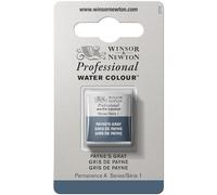 Winsor & Newton Professional - Vernici ad acquerello, vivaci e resistenti alla luce, pigmenti per artisti, 1/2 GODET, colore: Grigio Di Payne