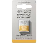 Winsor & Newton Professional - Vernici ad acquerello, vivaci e resistenti alla luce, pigmenti per artisti, 1/2 GODET, colore: Terra D'Ombra Naturale